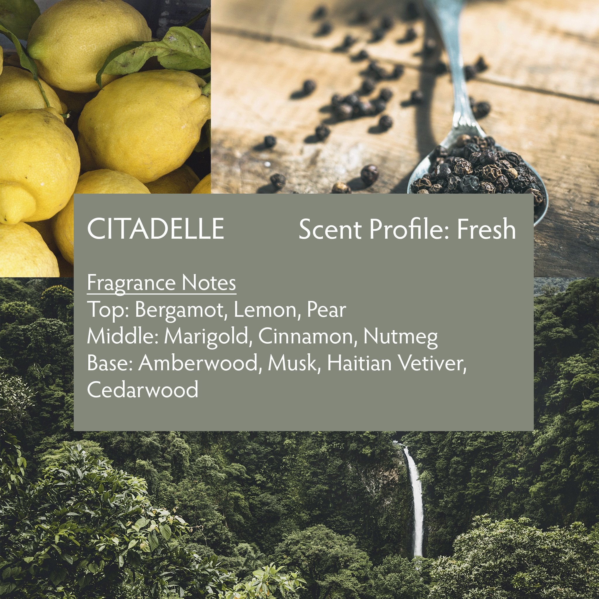 Raw Spirit Citadelle is a fresh, clean, modern interpretation of a classic vetiver fragrance, blending premium Haitian vetiver, marigold, pear, bergamot, lemon, cinnamon, nutmeg, amberwood, musk and cedarwood.