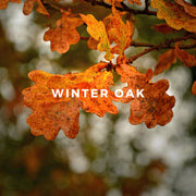 Winter Oak perfume is a decadent fragrance with smooth, creamy notes of aged American oak and layers of suede, saffron, premium Haitian vetiver and musk.