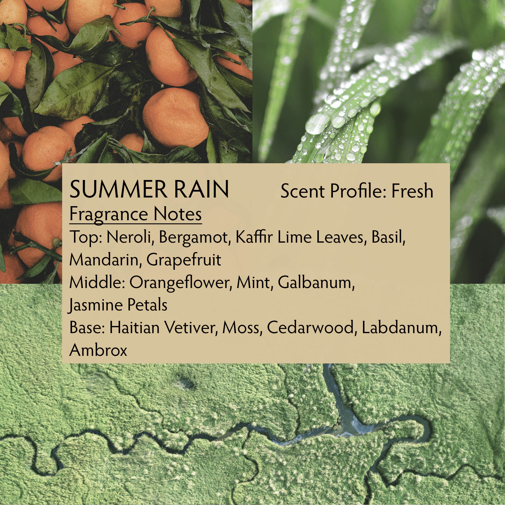 Summer Rain perfume is inspired by summer in the Florida Everglades, when the air is thick with humidity and the afternoon storm clouds build. The summer rain begins, quickly cooling the earth and reviving your spirit. 